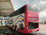 Expresos Occidente 010