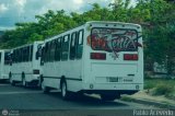 Coop. Transporte Menca de Leoni 108