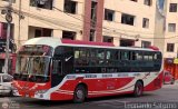 Transportes Lima Urban Company S.A. (Per) 862