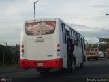 A.C. de Transporte Amigos de Ca 81