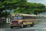 Particular 26 Blue Bird Convencional No Integral International 3800