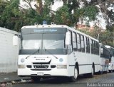 Transporte El Esfuerzo 01, por Pablo Acevedo