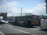 Metrobus Caracas 236