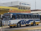 Particular 999, por Sebastin Mercado