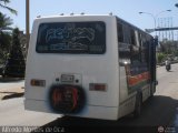 NE - Lnea Nueva Cdiz 017 Inbus Urbano CT 2G Ford B-350