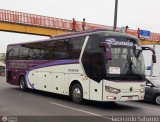 Romn Tours 966