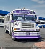 Transporte Colectivo Palo Negro 114 Blue Bird Convencional No Integral International 3800