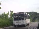 Colectivos El Viga 27 Carrocera Alkon City Iveco Tector CC118E22 EuroCargo