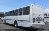 Uni�n Conductores Ayacucho 0001 por Andr�s Ascanio