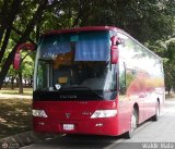 Uso Oficial  02, por Waldir Mata