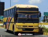 Ejecutivos Boga 30