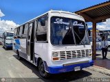 S.C. Lnea Qubor 43