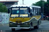 Transporte Gran Orinoco S.C. 22