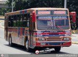 Expresos Pegamar 0019