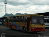 Transporte Belen 07