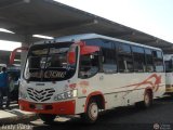 Coop. de Transporte Coromoto 26