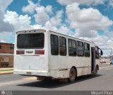 Transporte Gran Mariscal Sucre C.A. 16, por Miguel Pino