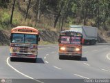 Transporte Unido (VAL - MCY - CCS - SFP) 014