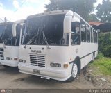 A.C. Don Augusto Malave Villalba 105