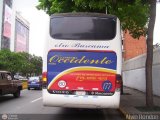 Expresos Occidente 177