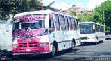 Asociacin Cooperativa R.S. Ezequiel Zamora 50