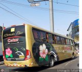 Cetur S.R.L. 950 Marcopolo Paradiso G7 1050 Volvo B380R