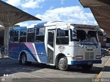 A.C. Transporte Vencollano 81