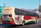 Empresa de Transporte Per Bus S.A. 967, por Leonardo Saturno