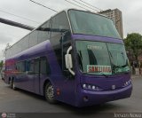 Buses Pullman Setter (Chile) 033