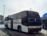 Expresos Pegamar 1050
