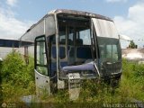 En Chiveras Abandonados Recuperacin AC1700 15, por Alejandro Curvelo