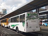 A.C. Indepasib 096 por Jes�s Valero