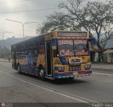 Transporte Guacara 183