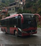 U.C. Serrano Pinto 80 Yutong ZK6896HGA Yutong Integral ZK6896HGA
