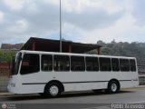 A.C. de Transporte Encarnacin 981