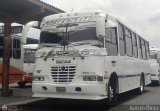 Foto anterior 487
