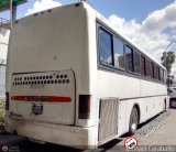 Colectivos Sol de Oriente 002