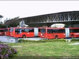 Garajes Paradas y Terminales Bogota