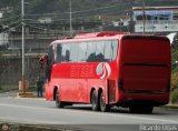 Sistema Integral de Transporte Superficial S.A 072, por Ricardo Ugas