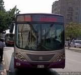 Consorcio del Corredor Morado 447 por Leonardo Saturno