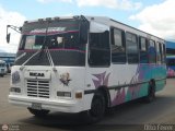 A.C. Transporte Aguas Calientes 96, por Otto Ferrer