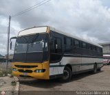 ZU - Colectivos Concepcin 020