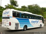 Copetran 7932