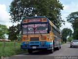 Expresos Juregui 096 Blue Bird TC2000 Blue Bird Diesel 01
