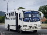 Transporte Virgen del Carmen 03