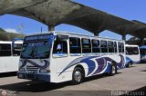 Expresos Delicias 15