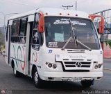 TA - L�nea Santa Teresa 33