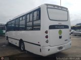 A.C. de Transporte Larense 29