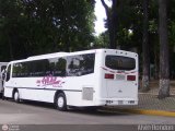 A.C. de Transporte Encarnacin 317, por Alvin Rondon