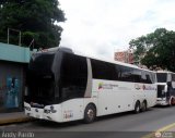 Expresos Occidente 316